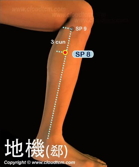 地根穴|中醫有穴名為「地筋」，推拿此穴可養肝活血，那「地。